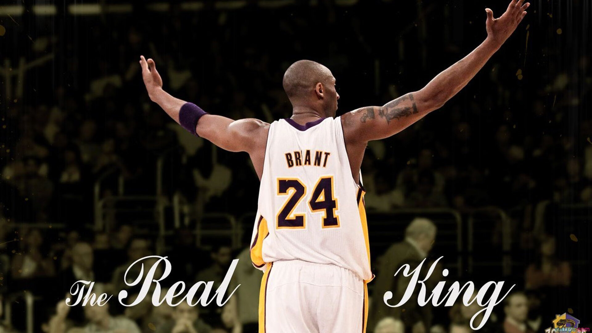 开云体育APP下载-赛道上的独舞者，帕尔默在F1新赛季揭幕战之夜的绝对主宰